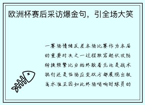 欧洲杯赛后采访爆金句，引全场大笑